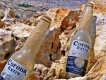 Corona beer halts production
