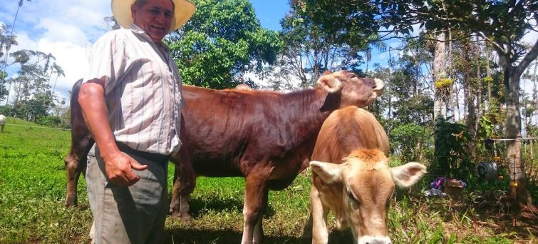 Ecuador: Sustainable cattle farmer eases COVID-19 crisis with free milk for families