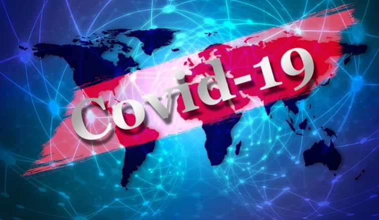 COVID-19 infections in Japan rise to 804