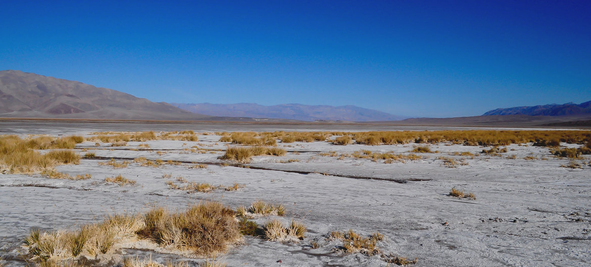 Death Valley temperature, likely highest since 1931: UN weather agency