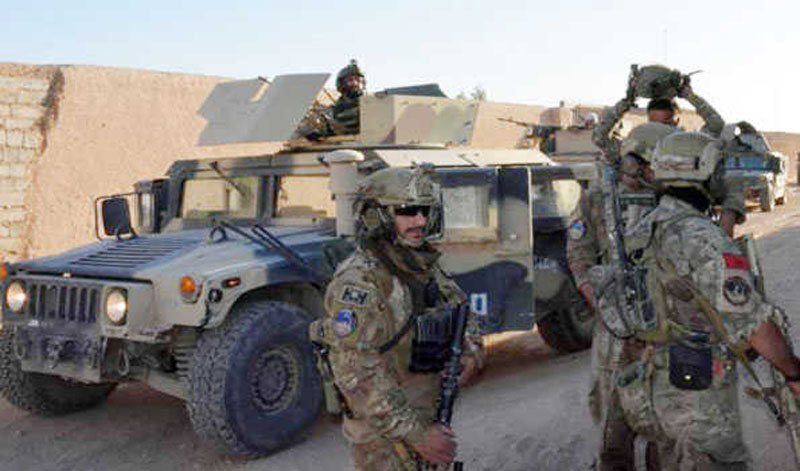 Afghan forces kill 28 Taliban militants in Uruzgan, Kandahar provinces