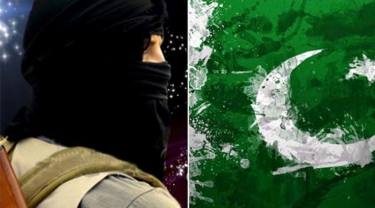 Pakistan continues to serve as a safe haven for terror groups: US State Dept