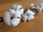 Pakistan still continues cotton trade with China's controversial Xinjiang region