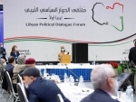 Libya: Security Council urges interim leadership to prepare for December polls