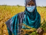 Pandemic threatens lost decade for development, UN report reveals