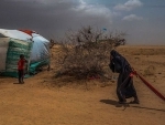 Yemen: As conflict drags on, ‘no quick wins’: UN envoy