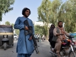 US Senators urge Biden govt to recognize Taliban as terrorist organization