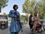 Taliban hang 4 bodies on public display, call it a lesson in 'kidnappings'