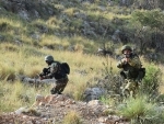 Pakistan Army kills 8 terrorists during separate operations