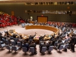 UN Security Council calls on parties to fully comply with ceasefire in Gaza : Statement
