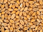 Pakistan's Punjab may soon face wheat shortage