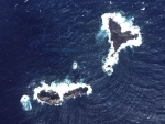 Four Chinese patrol ships enter waters near Senkaku Islands disputed by Japan: Reports