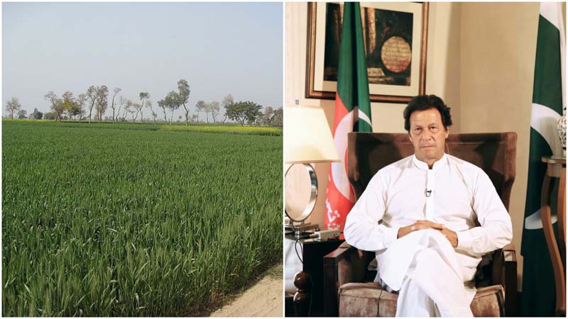 Pakistan: Imran Khan govt expected to face new challenge as farmers plan protest