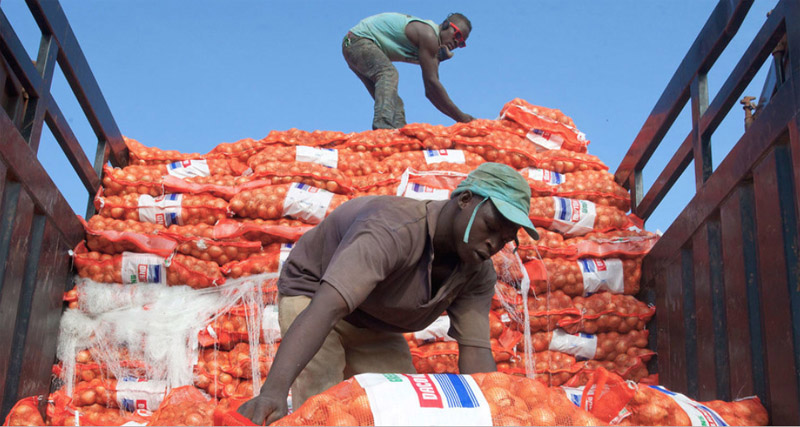 New UN-backed framework to boost agricultural trade between African nations