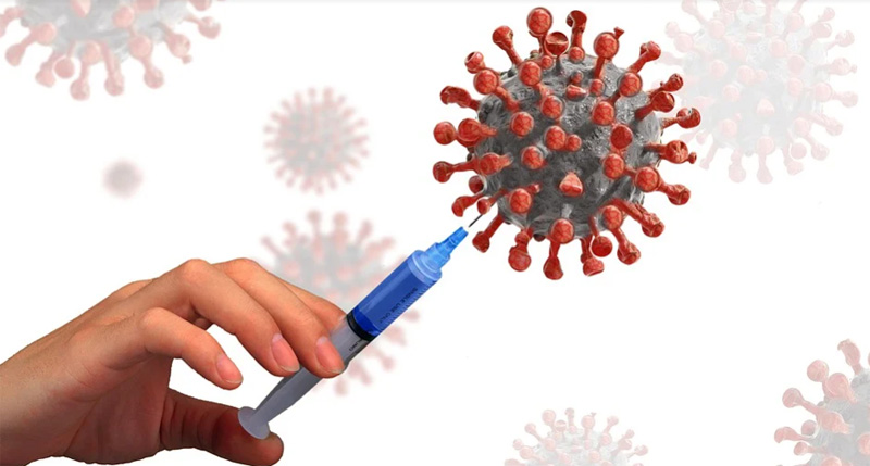 Pakistan approves use of China's Sinovac COVID-19 vaccine