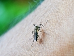 Pakistan: Balochistan witnessing spike in Malaria cases
