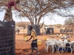 FAO launches $138 million plan to avert hunger crisis in Horn of Africa