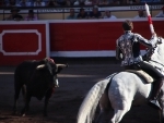 Mexican court suspends bullfights at world's largest arena