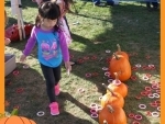 Canada: Toronto parks to see return of Pumpkin Parade festival tomorrow