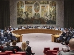 Five countries elected to serve on UN Security Council