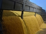 Guterres hails ‘critical step forward’ on resuming Ukraine grain exports