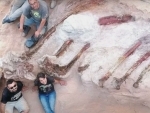 82-ft dinosaur skeleton excavated in Portugal
