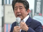 Japan: Shinzo Abe's party wins big in upper chamber election