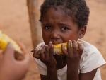 Better prevention and targeting of root causes needed to combat food crises