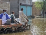 Public health risks increasing in flood-affected Pakistan, warns WHO