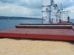 Ukraine: Black Sea grain shipment success raises hopes more will follow