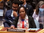 Human rights under threat in DR Congo and beyond, Security Council hears