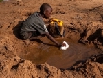 WFP scales up support for millions who ‘cannot wait’ for food aid amid Horn of Africa drought