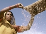 Join forces to prevent ‘food availability crisis’ urges FAO chief