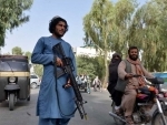 Afghanistan: Taliban members open fire at Herat province checkpost, 2 die