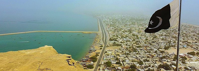 Chinese company stops operation in Pakistan's Gwadar