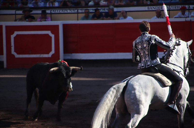 Mexican court suspends bullfights at world's largest arena