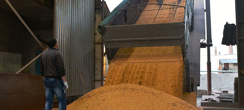 UN welcomes new centre to put Ukraine grain exports deal into motion