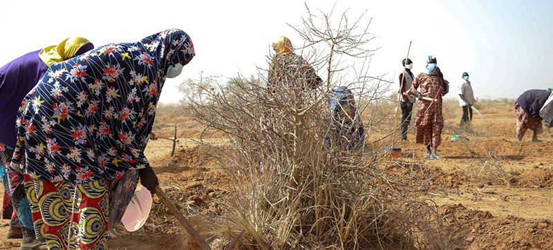 Africa’s Sahel region facing ‘horrendous food crisis’