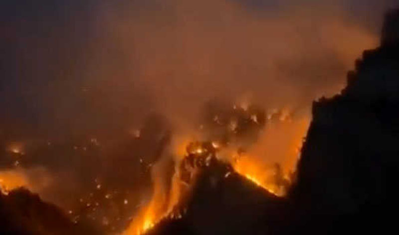 Pakistan: Forest fire rages in Balochistan
