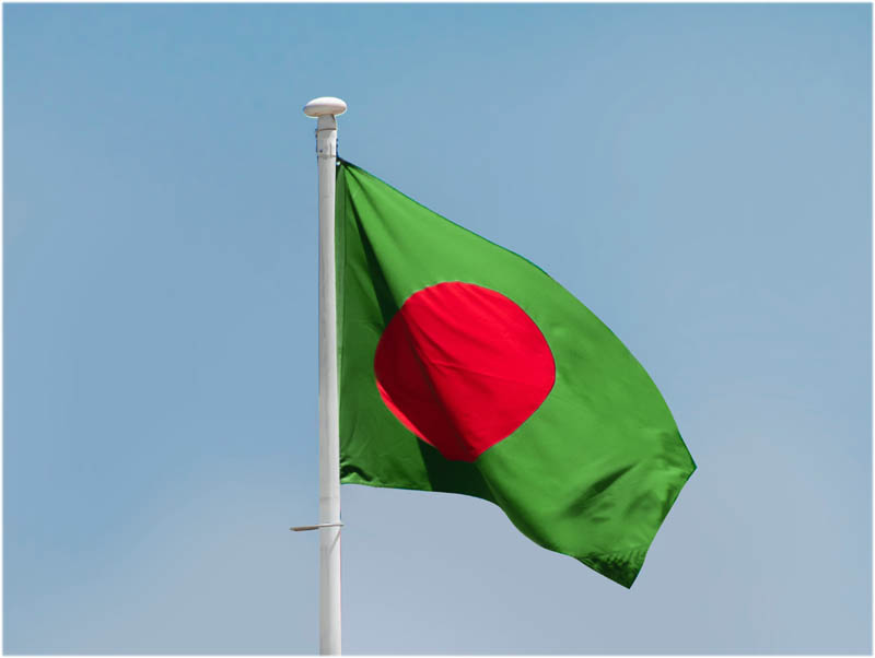 The Democracy Forum webinar participants discuss Jamaat's role in Bangladeshi political paradigm 