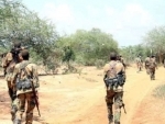 Somali army kills over 70 militants in southern region