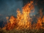 Mediterranean wildfires leave 40 people dead