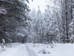 Canada: Toronto sees coldest temperatures in years with polar vortex descending on Ontario