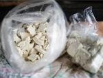 Indo-Canadian trucker faces charges in cocaine bust