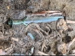 Germany: Archeologists find Bronze Age sword in Nordlingen