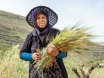 FAO report reveals hidden costs of agrifood systems
