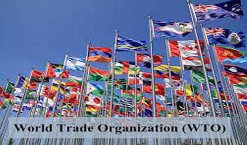 Ukraine files WTO lawsuits against Poland, Hungary, and Slovakia over import ban