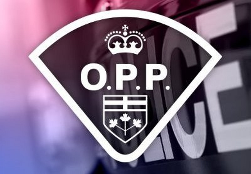 Canada: Ontario's Project Foxtrot leads to human trafficking investigation