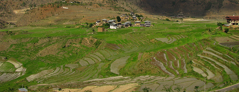 Bhutan: Farmers using GPS, advanced technologies to modernize agricultural sector