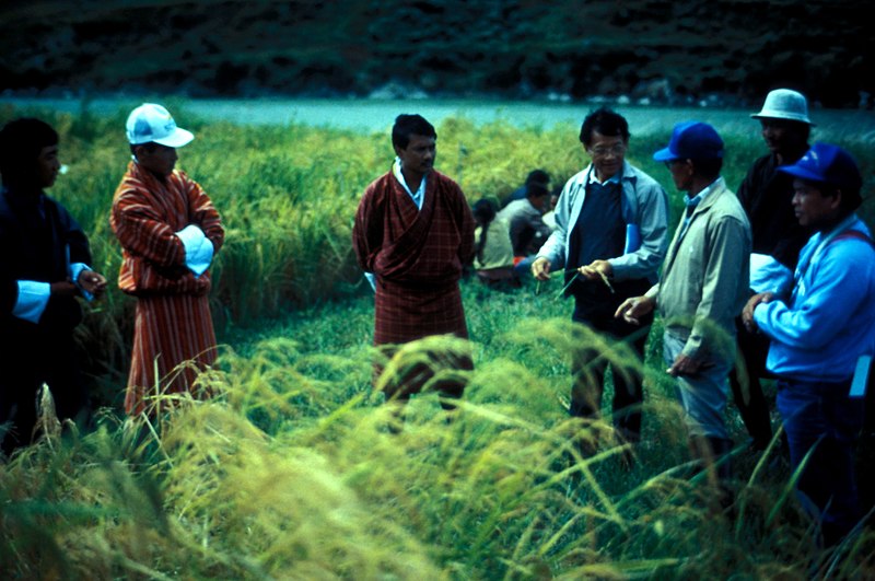 Bhutan government plans to use technology to modernize agriculture sector
